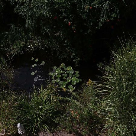 Ferienwohnungen Ries Eusserthal Exteriör bild