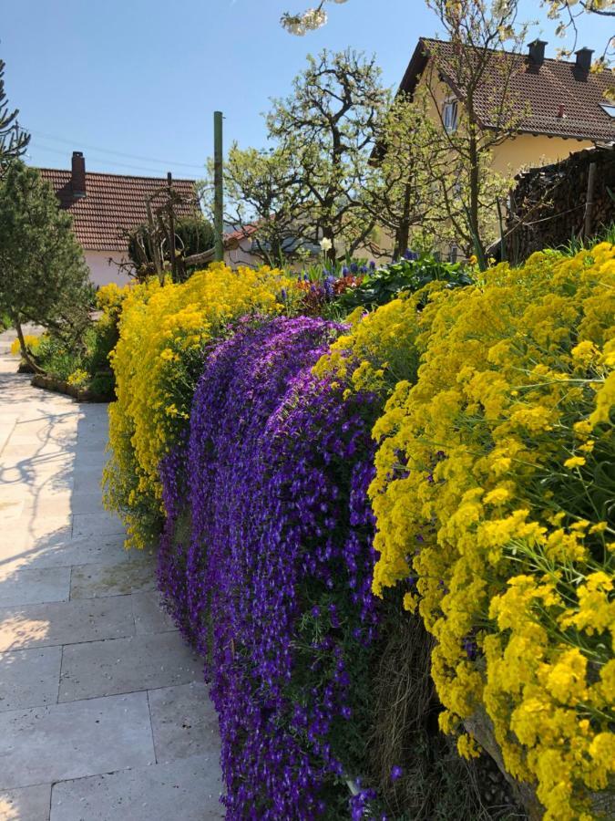Ferienwohnungen Ries Eusserthal Exteriör bild